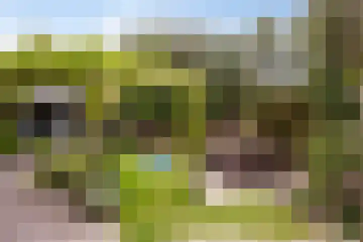 Ouverturelaan 4 Beek en Donk thumbnail 67