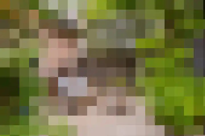 Ouverturelaan 4 Beek en Donk thumbnail 68