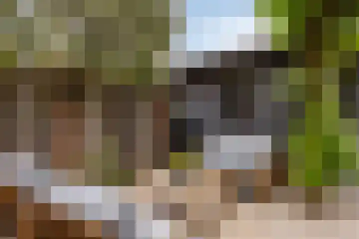 Ouverturelaan 4 Beek en Donk thumbnail 69