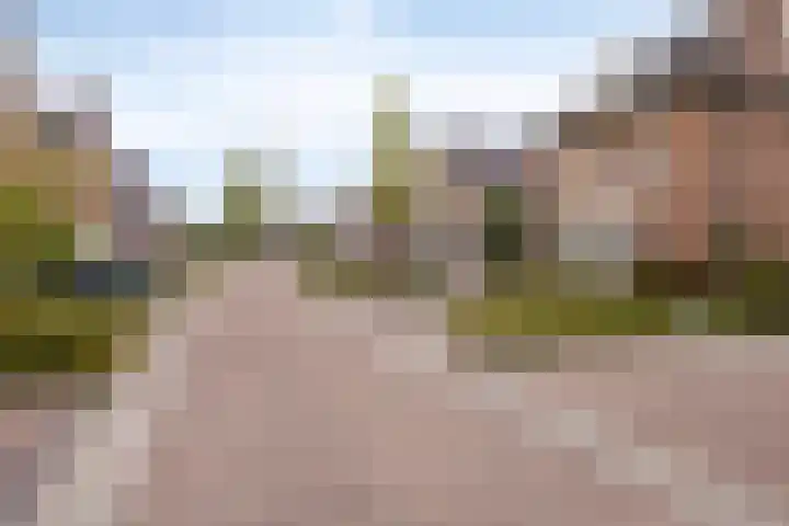 Ouverturelaan 4 Beek en Donk thumbnail 7