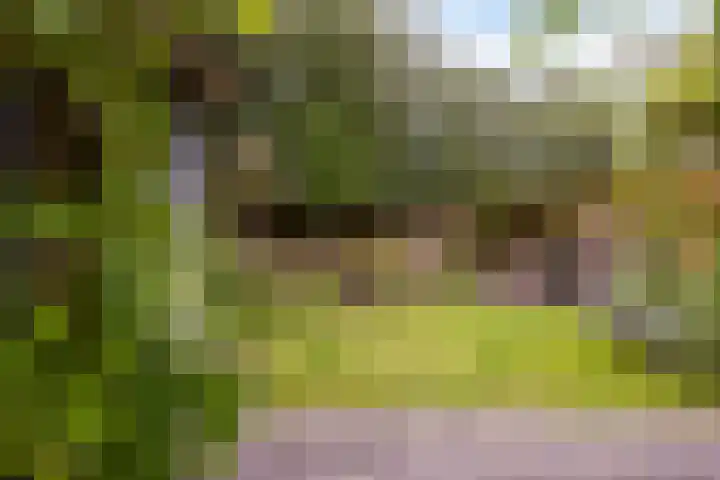 Ouverturelaan 4 Beek en Donk thumbnail 70