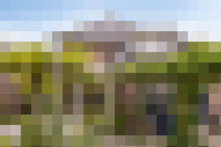 Ouverturelaan 4 Beek en Donk thumbnail 71