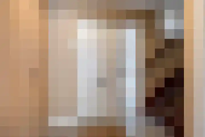 Ouverturelaan 4 Beek en Donk thumbnail 9