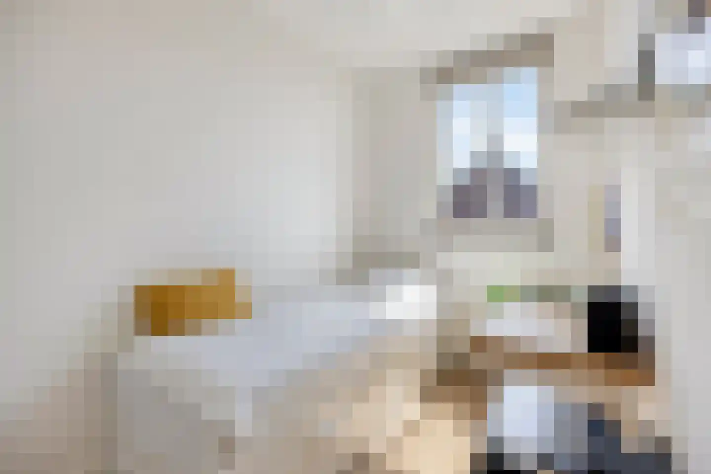 Ouverturelaan 96 Krimpen aan den IJssel thumbnail 21