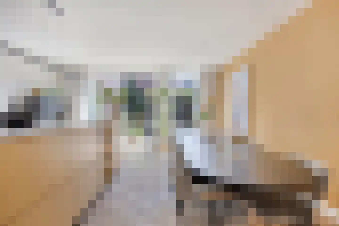 Ouverturelaan 96 Krimpen aan den IJssel thumbnail 7