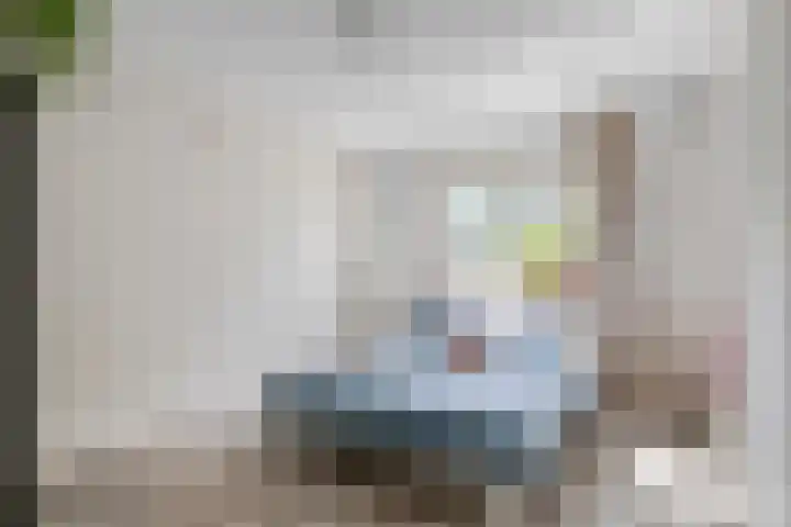 Ouverturestraat 18 Venray thumbnail 10