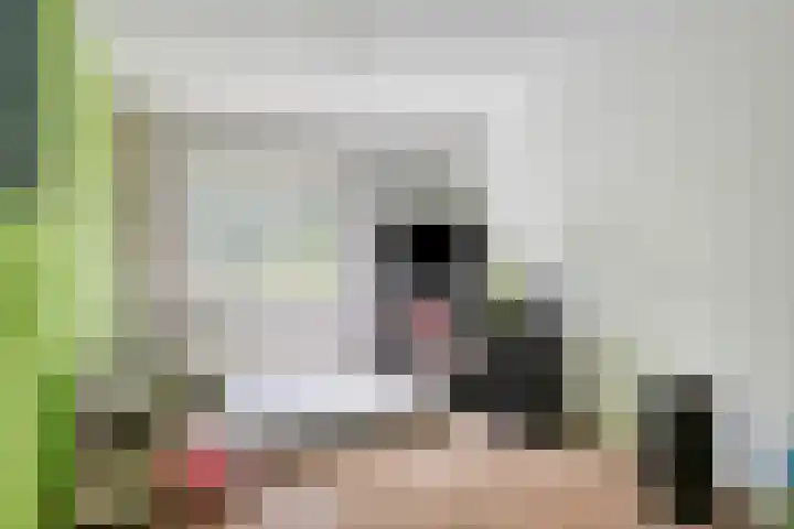 Ouverturestraat 18 Venray thumbnail 12