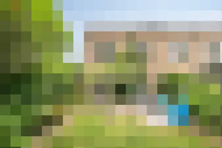 Ouverturestraat 18 Venray thumbnail 20