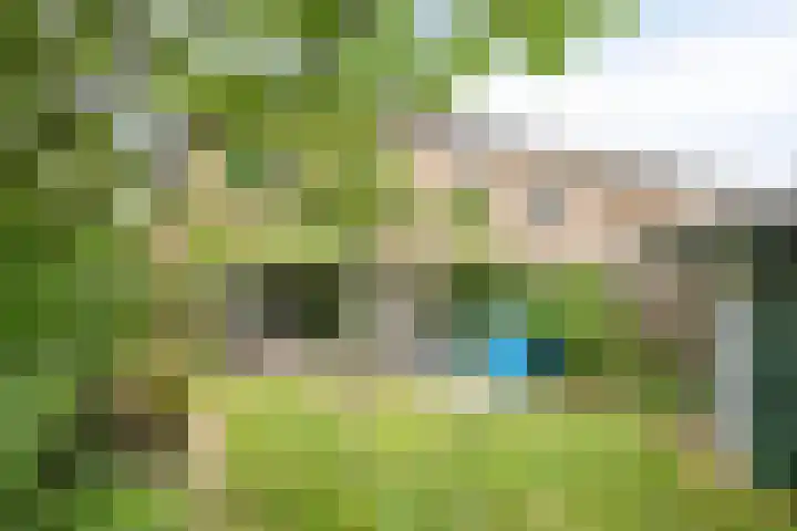Ouverturestraat 18 Venray thumbnail 21