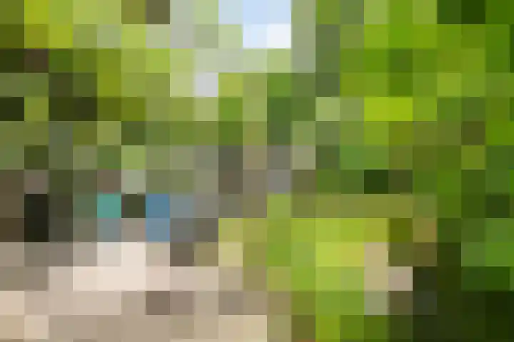 Ouverturestraat 18 Venray thumbnail 25