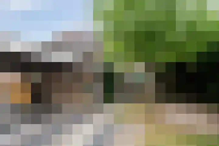 Ouverturestraat 18 Venray thumbnail 26