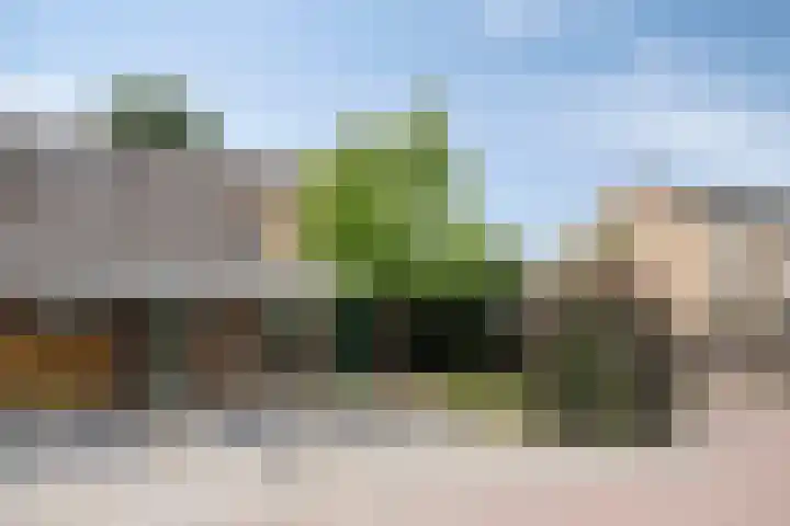 Ouverturestraat 18 Venray thumbnail 27