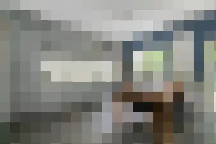 Ouverturestraat 18 Venray thumbnail 7