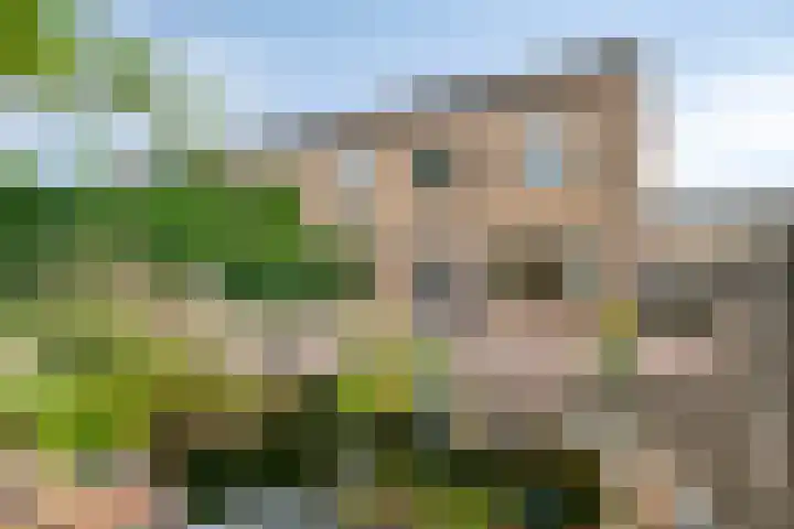 Ouverturestraat 28 Venray thumbnail 30