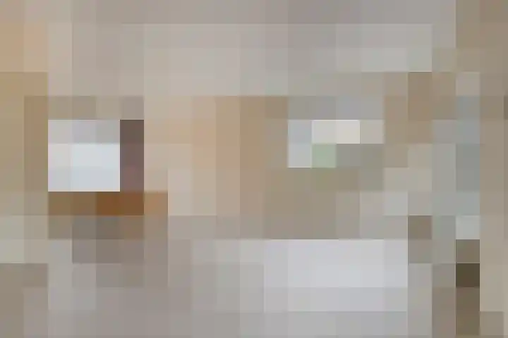 Ouverturestraat 28 Venray thumbnail 5