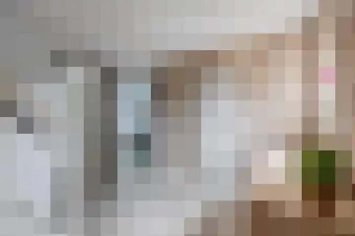 Ouverturestraat 57 Venray thumbnail 20