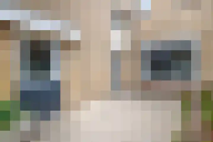 Ouverturestraat 57 Venray thumbnail 28