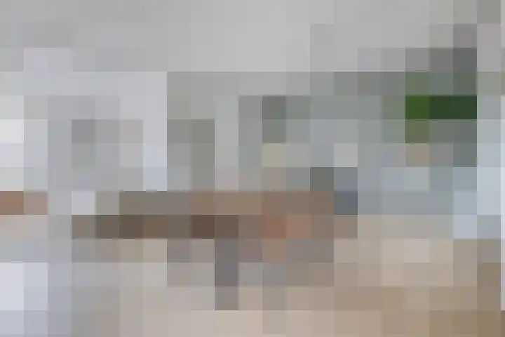 Ouverturestraat 57 Venray thumbnail 5