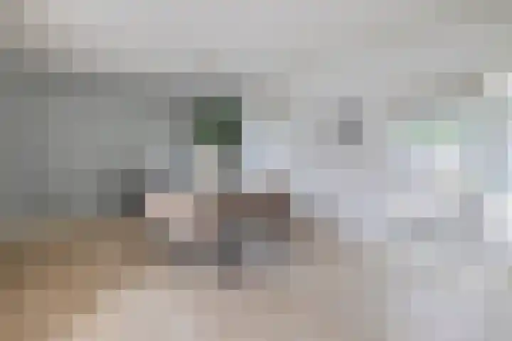 Ouverturestraat 57 Venray thumbnail 6