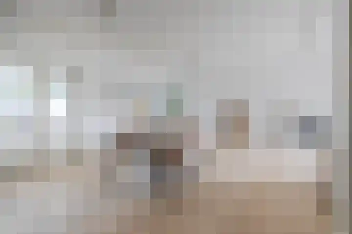 Ouverturestraat 57 Venray thumbnail 7