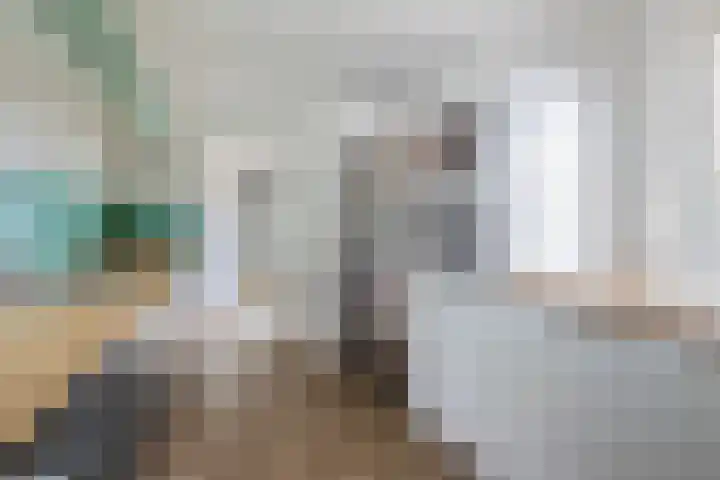 Ouverturestraat 57 Venray thumbnail 8