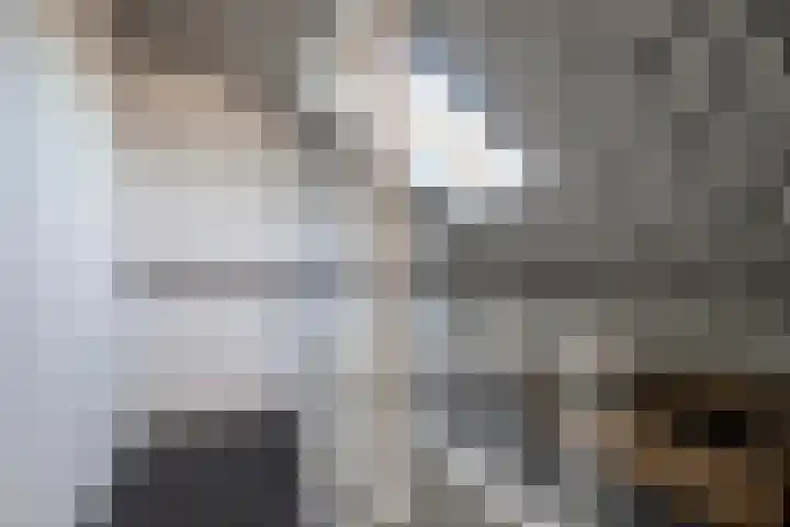 Ouverturestraat 8 Venray thumbnail 22