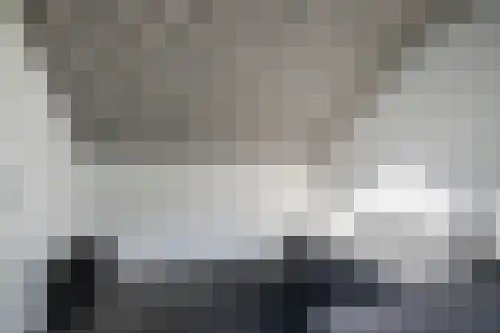 Ouverturestraat 8 Venray thumbnail 24