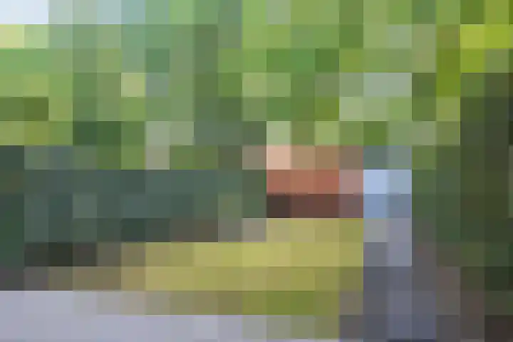 Ouverturestraat 8 Venray thumbnail 27