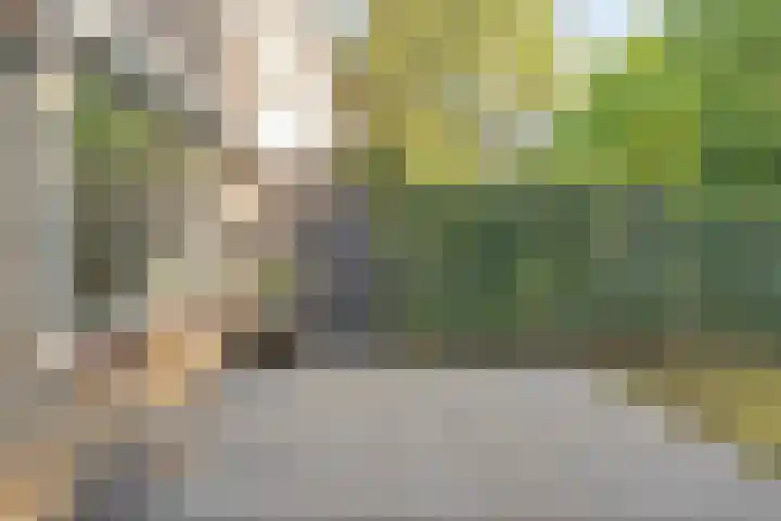 Ouverturestraat 8 Venray thumbnail 28