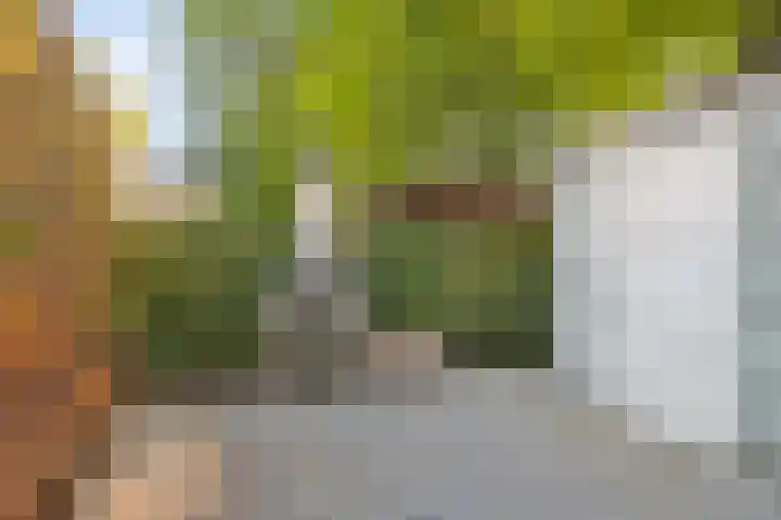 Ouverturestraat 8 Venray thumbnail 31
