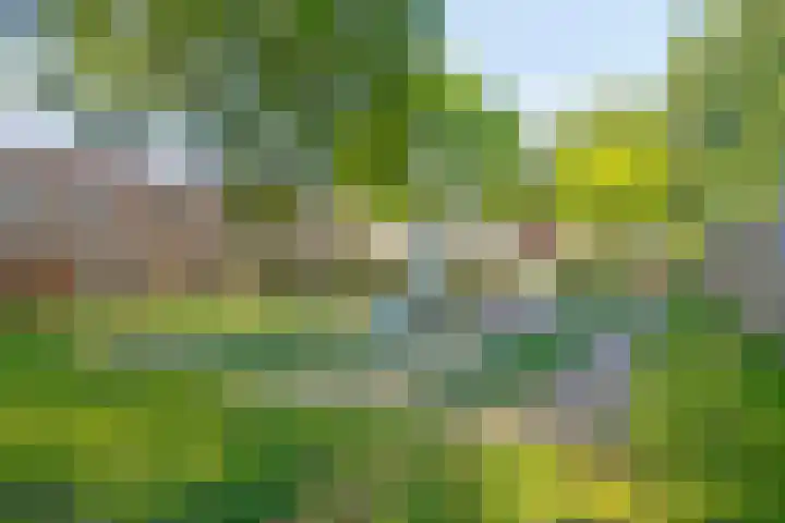 Ouverturestraat 8 Venray thumbnail 33