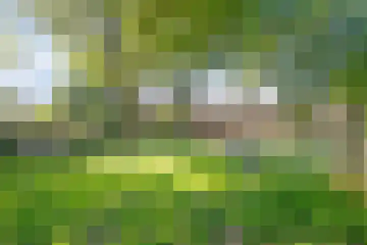 Ouverturestraat 8 Venray thumbnail 34