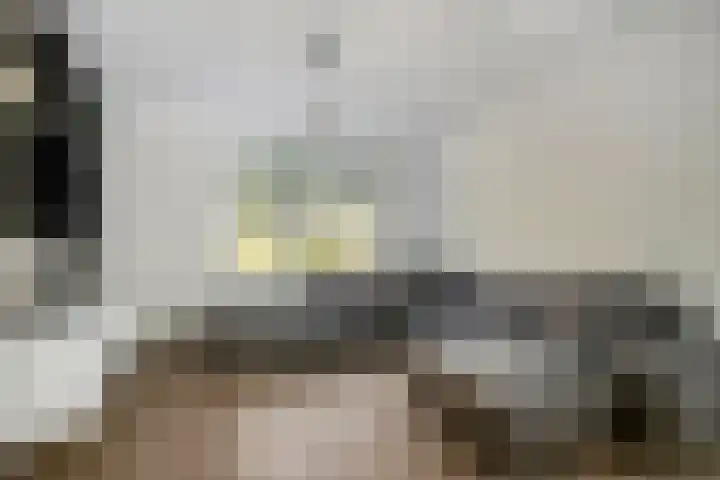 Ouverturestraat 8 Venray thumbnail 4