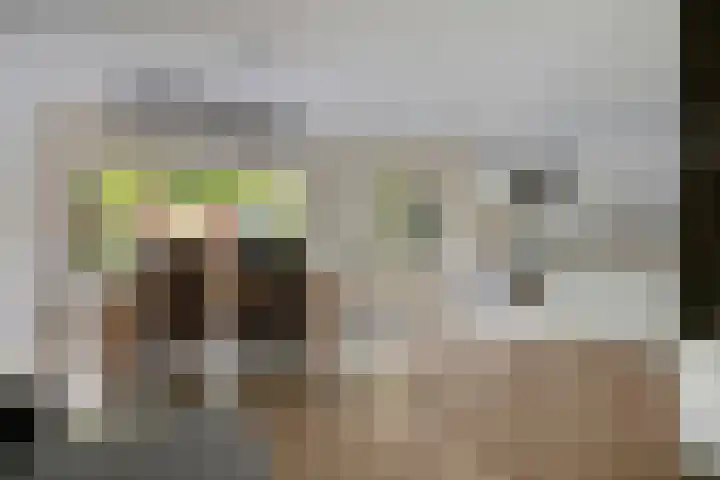 Ouverturestraat 8 Venray thumbnail 5