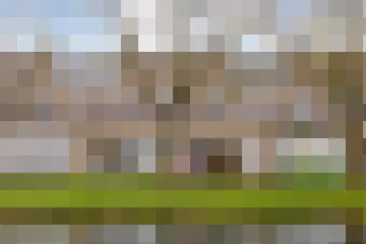 Ouvertureweg 107 Alphen aan den Rijn thumbnail 4