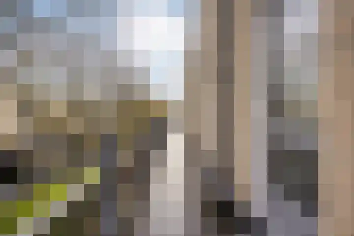 Ouvertureweg 107 Alphen aan den Rijn thumbnail 6