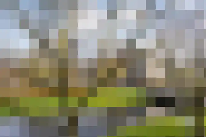 Ouvertureweg 107 Alphen aan den Rijn thumbnail 7