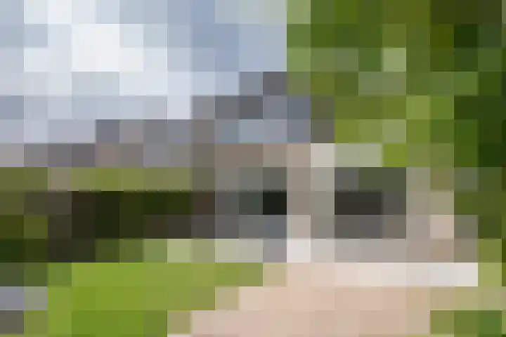 Ouvertureweg 2 Barendrecht thumbnail 30