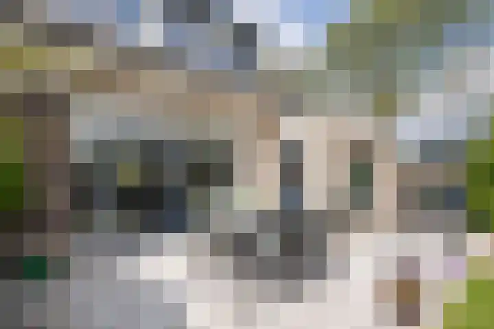 Ouvertureweg 2 Barendrecht thumbnail 31