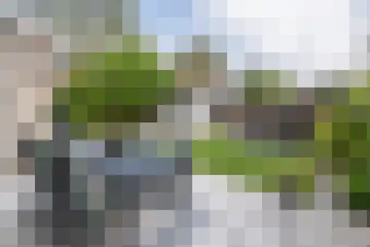 Ouvertureweg 2 Barendrecht thumbnail 33