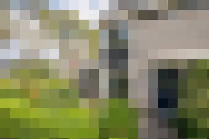 Ouvertureweg 2 Barendrecht thumbnail 34