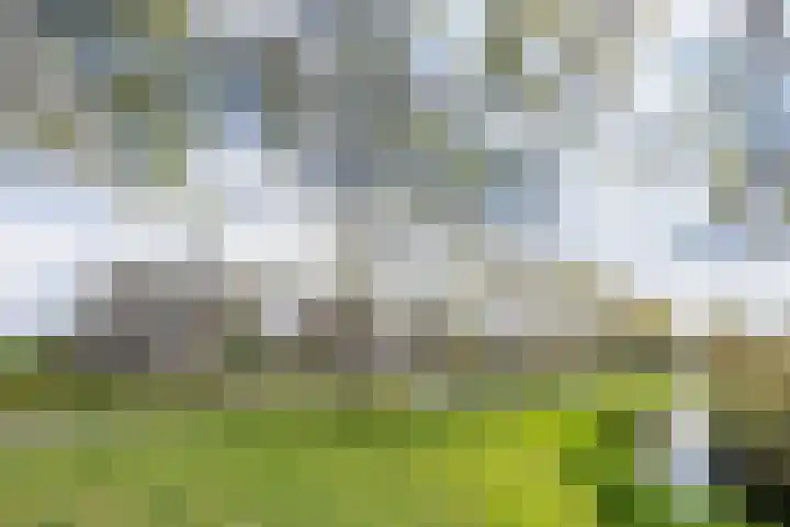 Ouvertureweg 2 Barendrecht thumbnail 35