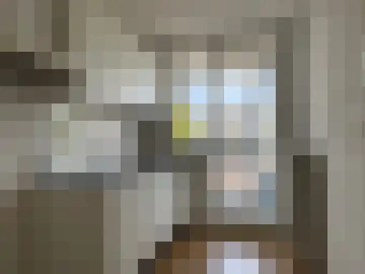 Ouvertureweg 37 Alphen aan den Rijn thumbnail 4
