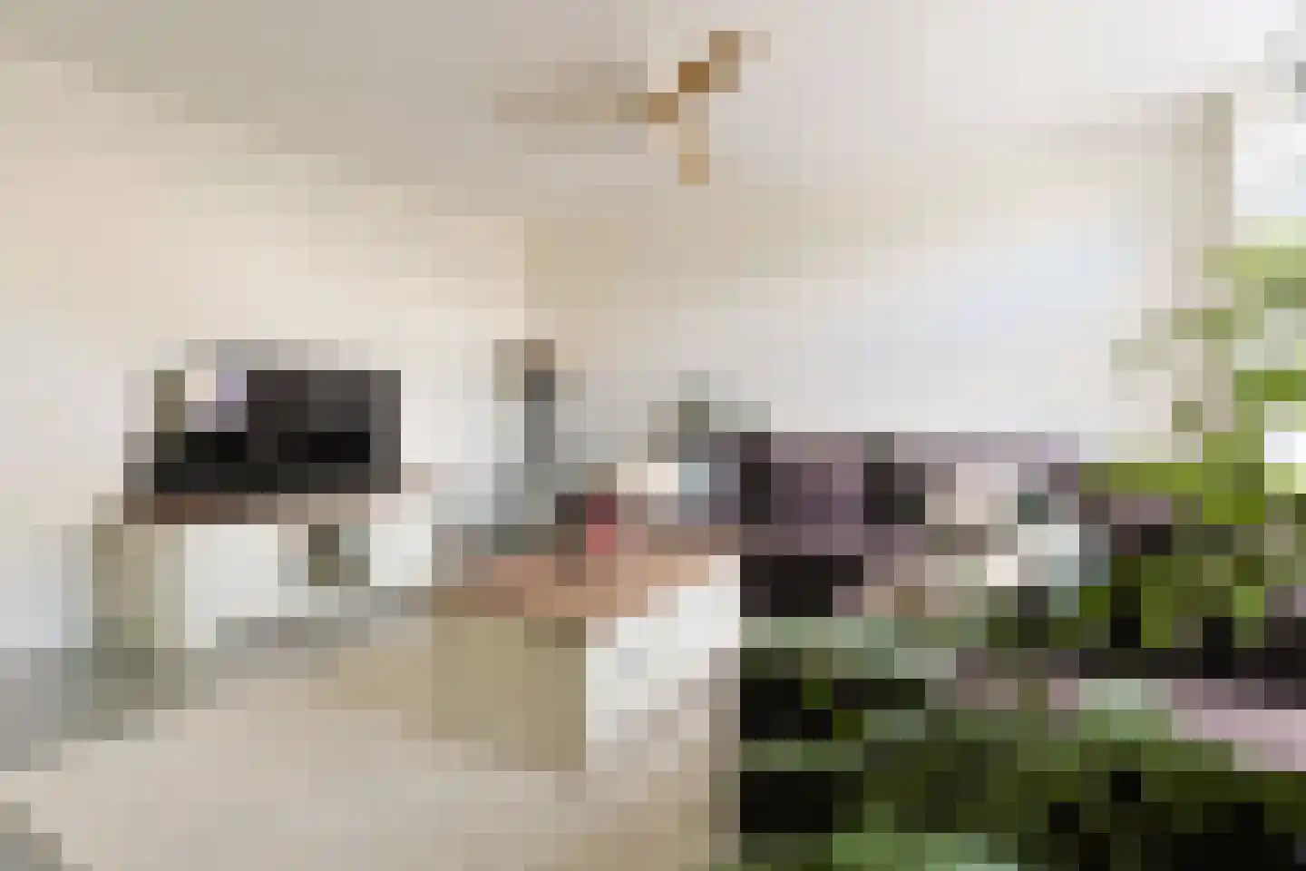 Ouvertureweg 95 Alphen aan den Rijn thumbnail 17