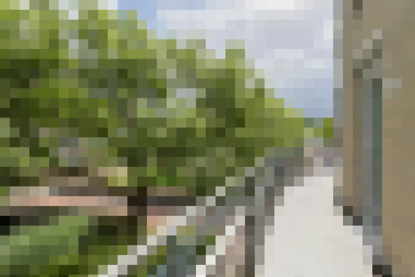 Ouvertureweg 95 Alphen aan den Rijn thumbnail 6