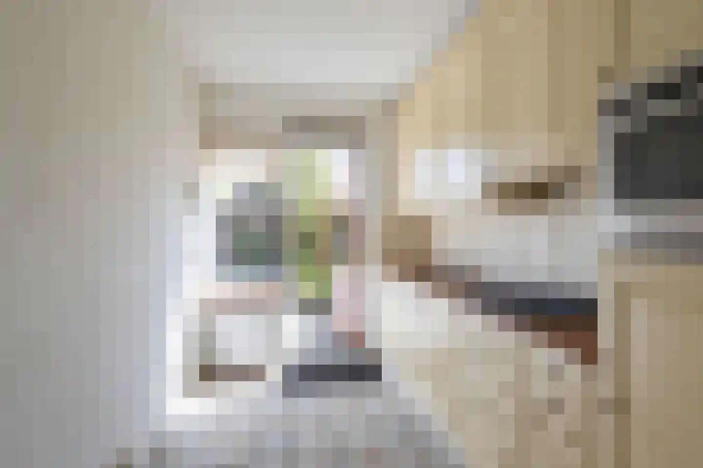 Ouwelandsestraat 5 Poortugaal thumbnail 9