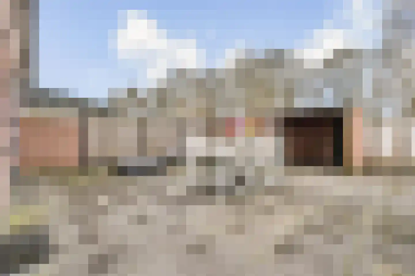 Ouwelandsestraat 55 Poortugaal thumbnail 10
