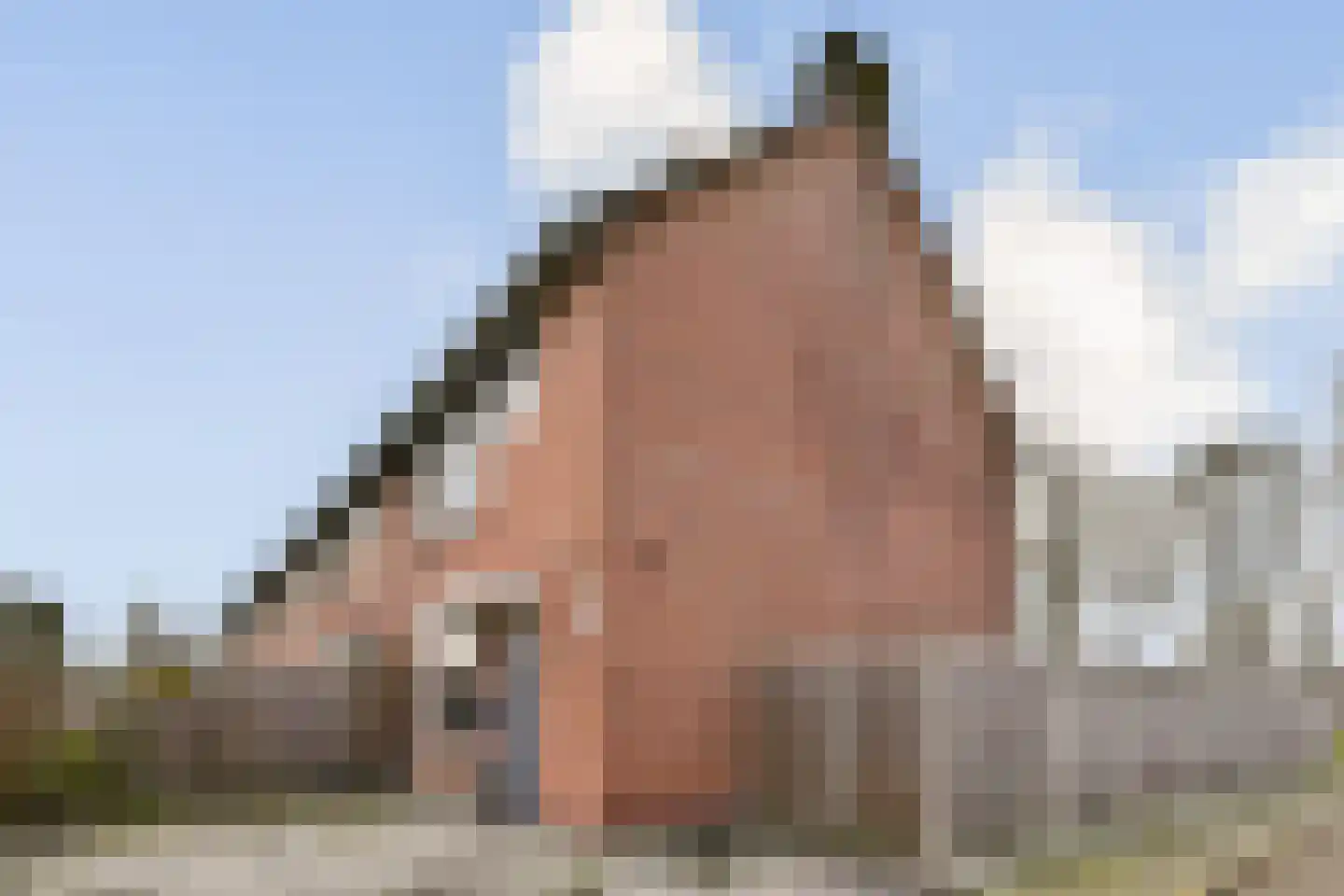 Ouwelandsestraat 55 Poortugaal thumbnail 23