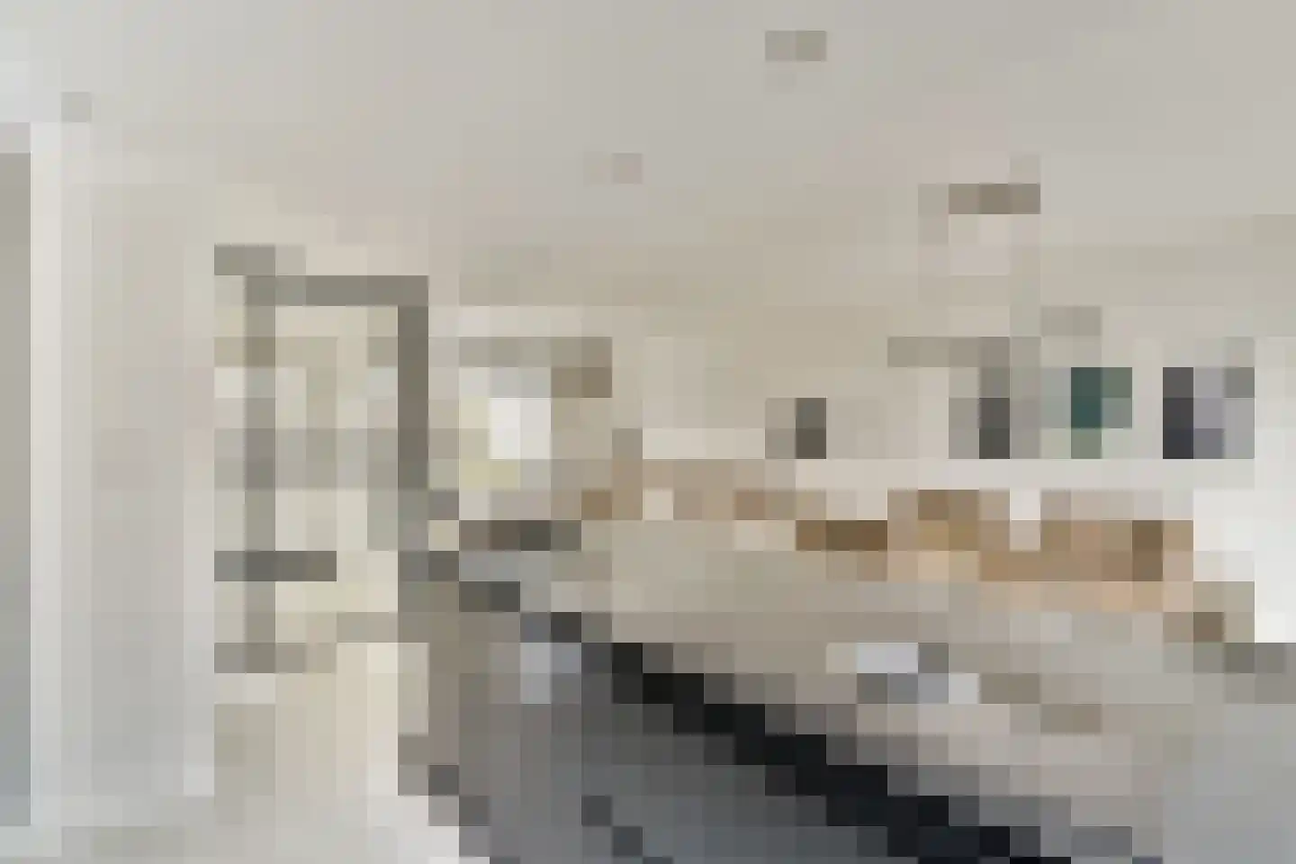 Ouwelandsestraat 55 Poortugaal thumbnail 8