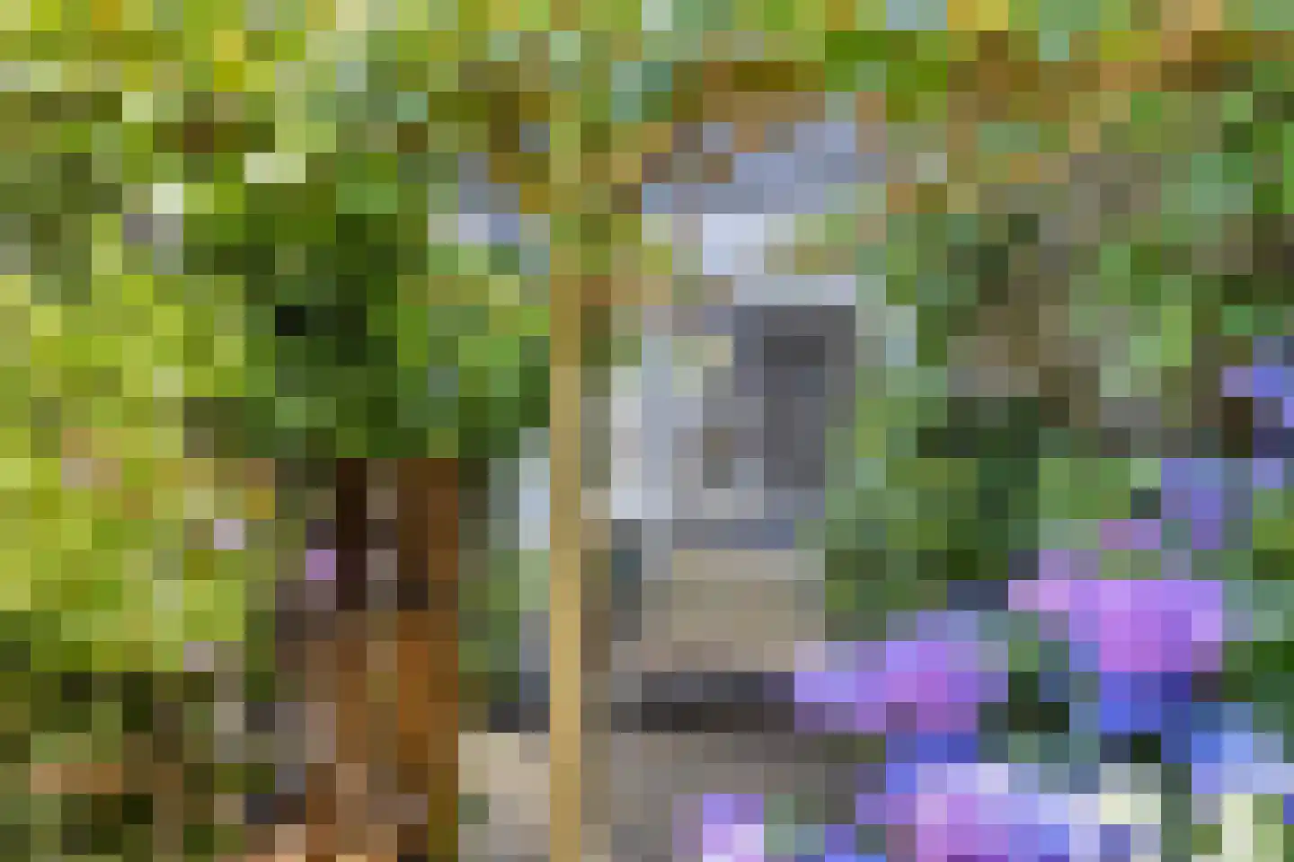 Ouwenberg 26 Eindhoven thumbnail 10